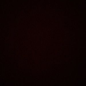 Meet your Posher, Gavin